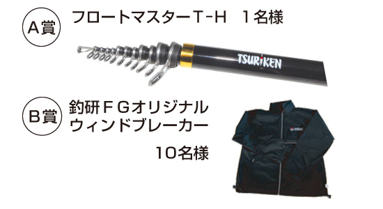 2010campaign-03