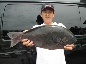 この日釣り上げた最大の49cmのグレ