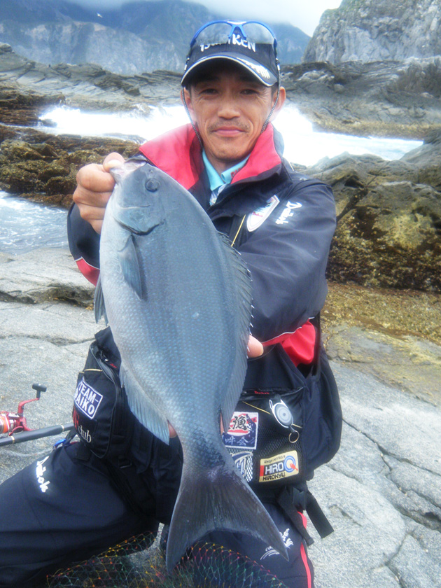 ウキ釣り釣果情報 伊豆諸島 神津島のグレ